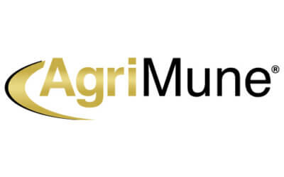Agri Feed International, LLC