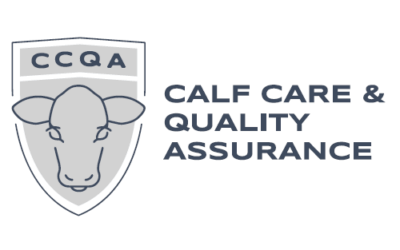 Calf Care & Quality Assurance