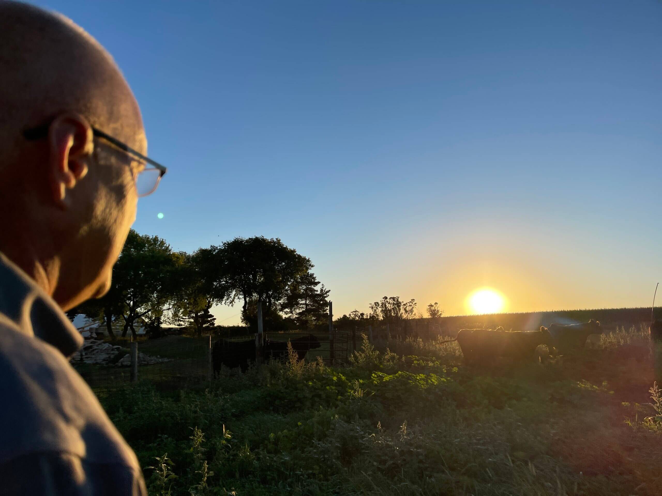 DCHA_DFAFS_2020_TESTING