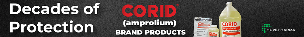 Corid Web Banner August 2026 1000x124