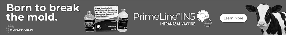 Primeline Web Banner August 2026 1000x124