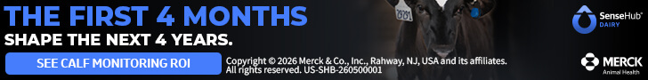 SHD_Youngstock_DCHA Web Banner Ad_728x90